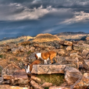 Atop Bald Mountain