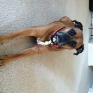 Parker 4 years old