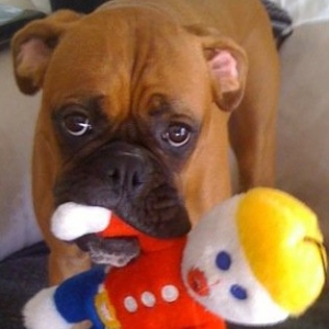 Ooohhh Noooo!  Layla & Mr. Bill