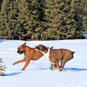 The_girls_playing_sc_