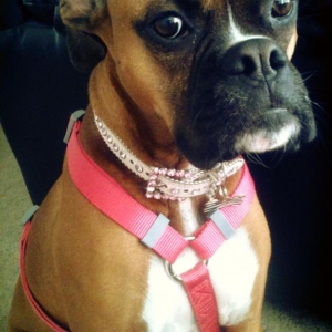 My Chloe Girl