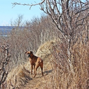 Spring_walk_4-20-13_57_