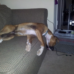 The Flop