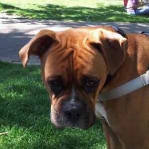 Wrinkles