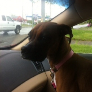 Shelby @ 5.5 months.