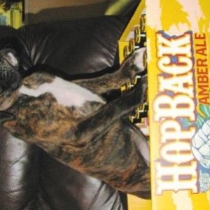Poppy Hopback