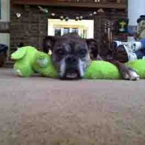 mytoy2