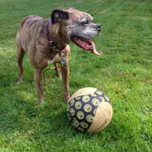 ball7
