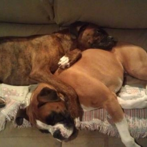 Max and Neo