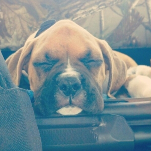 Copper