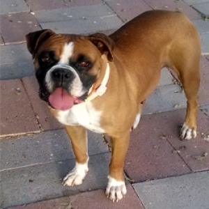 Ruby