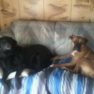 Daisy messing with her brother