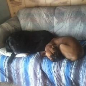 Daisy trying to use her brother as a pillow.