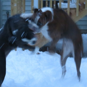 having fun in da snow