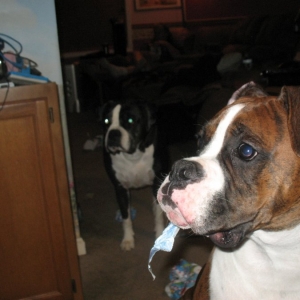 more paper hanging out of his mouth