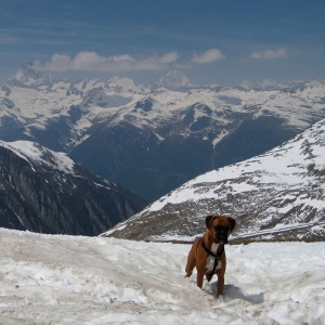"At the top of the World" (Literally)