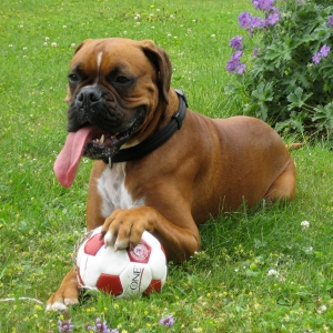 Summer Fun!