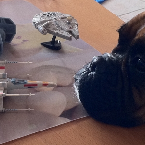 "Yes... I'm a fan!"