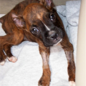Scout Bennett