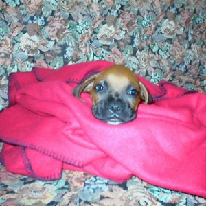 Paco as a baby