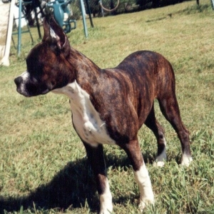 Ashley 4&1/2 mths