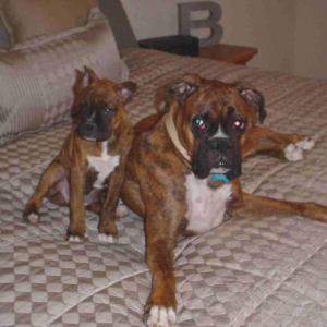 Cuatro and Scout