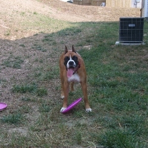 Hannah ready to play frisbee
