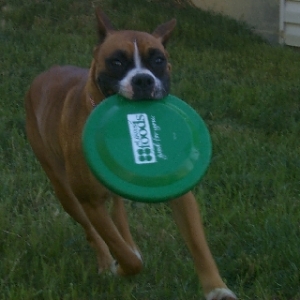 Hannah with frisbee