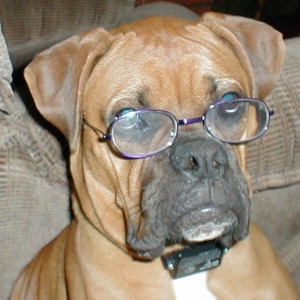Don't these make me look smarter?