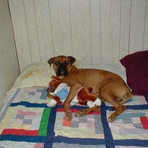 Peanut and his Baby