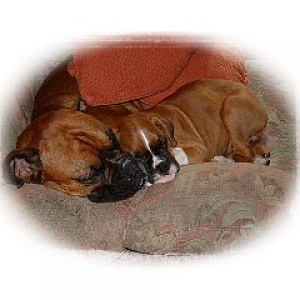 George & Amber sleeping