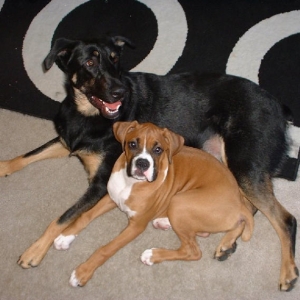 I love my boys :)