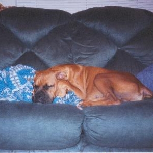 Napping