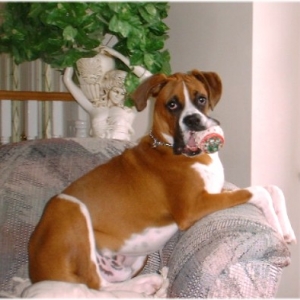 Ozzy 8 1/2 mths.