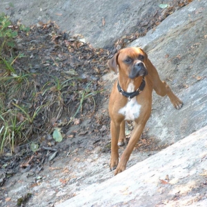 Paco, trying to keep his balance