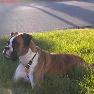 whats over there?