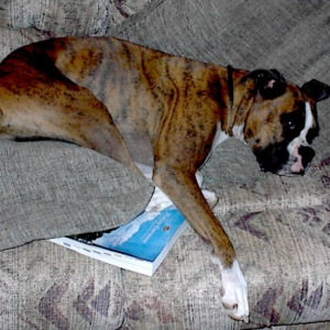 reading makes me sleepy