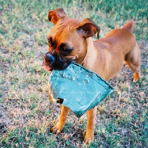 Playing with her bucket