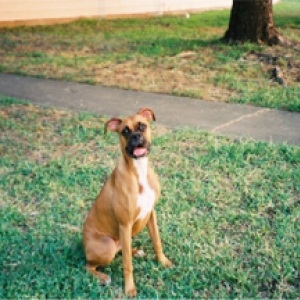 Outside sitting