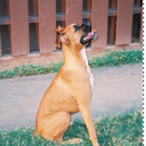 Side View