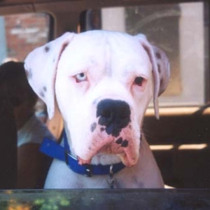 Finnegan