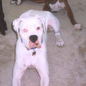 Finn with one of his girlfriends - Trudy