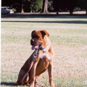 Caleb at the park
