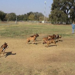 More playing