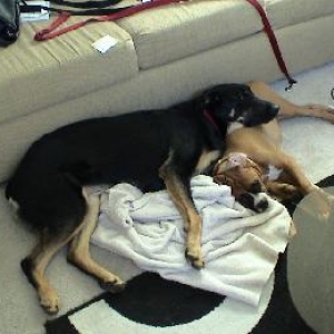 My boys after the Bash...