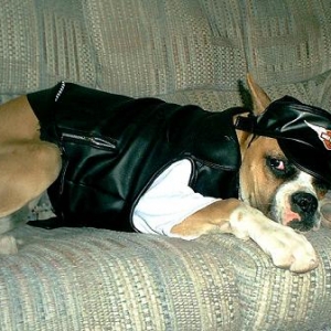 Biker Girl