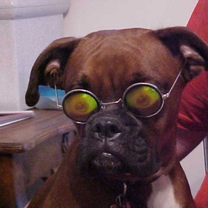 I Can See!