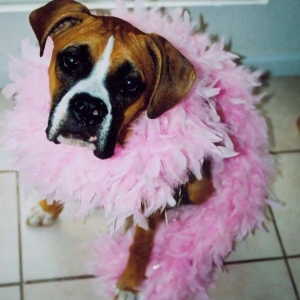 what Mac will do for treats.