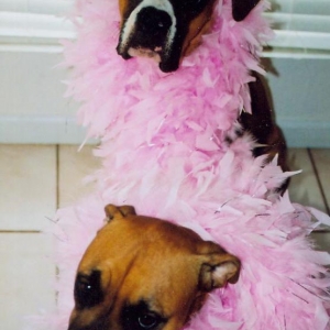 Princess AND Mac hamming it up!