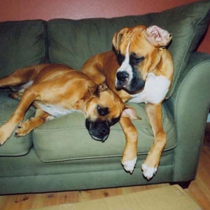 Tired of all the pics...need a friend to lean on